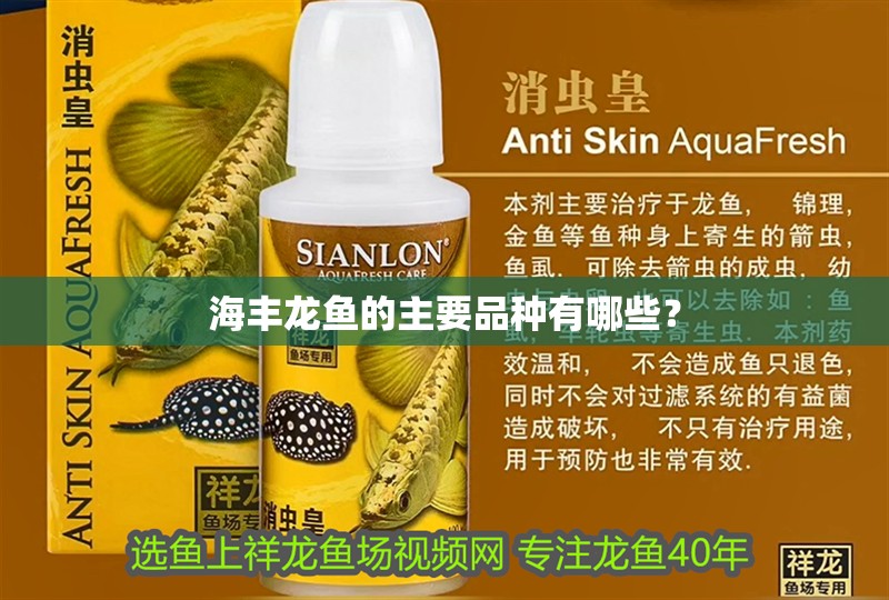 海豐龍魚的主要品種有哪些？ 海豐龍魚的主要品種有哪些？ 龍魚百科