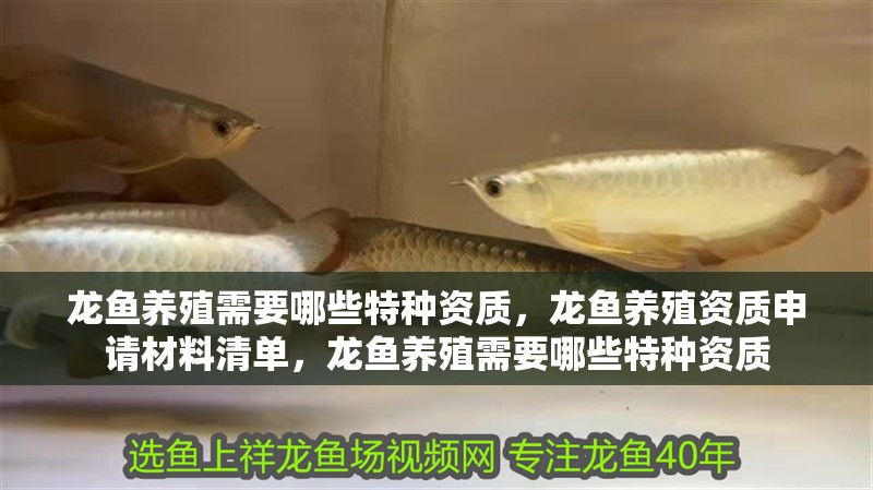 龍魚養殖需要哪些特種資質，龍魚養殖資質申請材料清單，龍魚養殖需要哪些特種資質