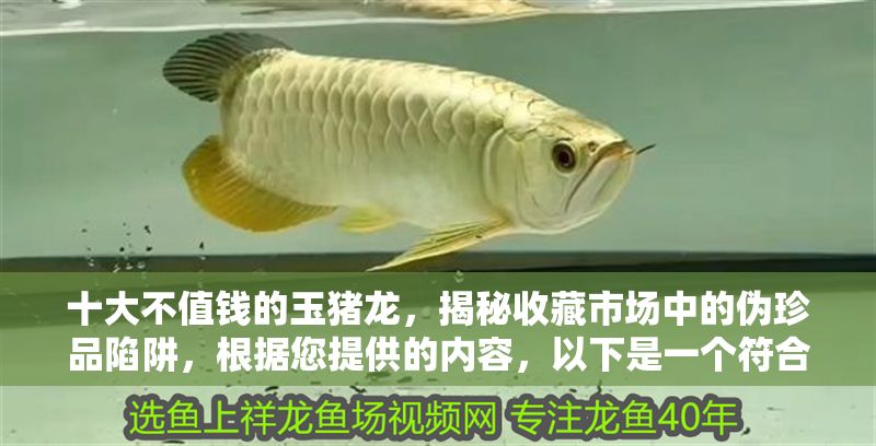 十大不值錢的玉豬龍，揭秘收藏市場中的偽珍品陷阱，根據(jù)您提供的內(nèi)容，以下是一個(gè)符合要求的標(biāo)題，，玉豬龍市場亂象，十大偽劣藏品揭秘與避坑指南，控制在20字內(nèi)，突出玉豬龍偽劣避坑等核心關(guān)鍵詞，符合收藏類文章傳播需求）