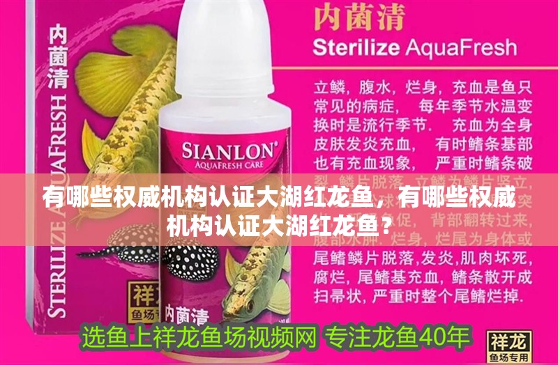 有哪些權(quán)威機(jī)構(gòu)認(rèn)證大湖紅龍魚，有哪些權(quán)威機(jī)構(gòu)認(rèn)證大湖紅龍魚？ 有哪些權(quán)威機(jī)構(gòu)認(rèn)證大湖紅龍魚，有哪些權(quán)威機(jī)構(gòu)認(rèn)證大湖紅龍魚？ 龍魚百科