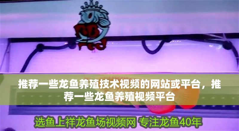 推薦一些龍魚養殖技術視頻的網站或平臺，推薦一些龍魚養殖視頻平臺 推薦一些龍魚養殖技術視頻的網站或平臺，推薦一些龍魚養殖視頻平臺 龍魚百科