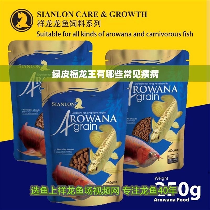 綠皮福龍王有哪些常見疾病 綠皮福龍王有哪些常見疾病 龍魚百科