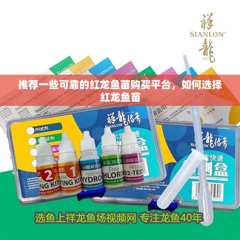 推薦一些可靠的紅龍魚(yú)苗購(gòu)買平臺(tái)，如何選擇紅龍魚(yú)苗 推薦一些可靠的紅龍魚(yú)苗購(gòu)買平臺(tái)，如何選擇紅龍魚(yú)苗 龍魚(yú)百科