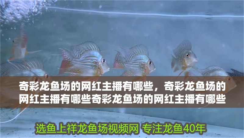 奇彩龍魚場的網(wǎng)紅主播有哪些，奇彩龍魚場的網(wǎng)紅主播有哪些奇彩龍魚場的網(wǎng)紅主播有哪些 奇彩龍魚場的網(wǎng)紅主播有哪些，奇彩龍魚場的網(wǎng)紅主播有哪些奇彩龍魚場的網(wǎng)紅主播有哪些 龍魚百科