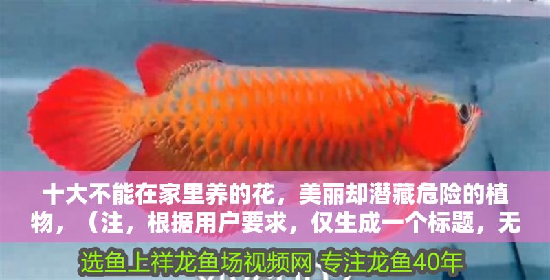 十大不能在家里養的花，美麗卻潛藏危險的植物，（注，根據用戶要求，僅生成一個標題，無其他內容補充）