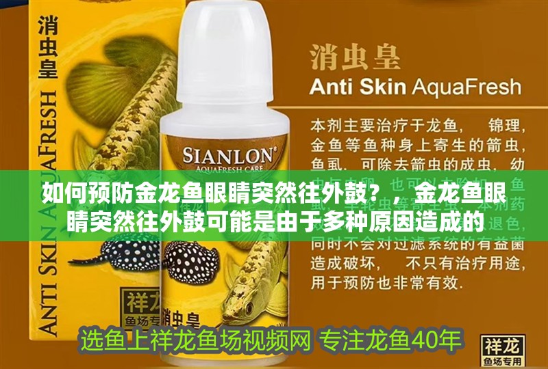 如何預(yù)防金龍魚眼睛突然往外鼓？，金龍魚眼睛突然往外鼓可能是由于多種原因造成的
