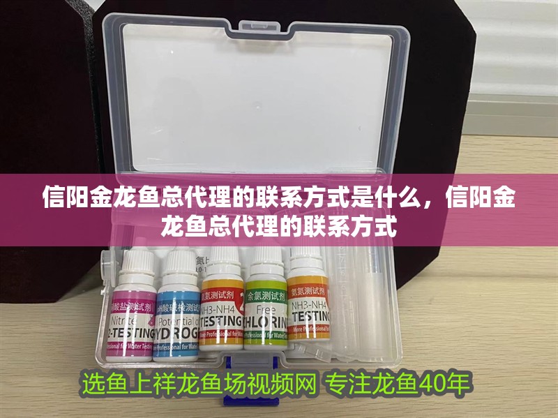 信陽金龍魚總代理的聯(lián)系方式是什么，信陽金龍魚總代理的聯(lián)系方式 信陽金龍魚總代理的聯(lián)系方式是什么，信陽金龍魚總代理的聯(lián)系方式 龍魚百科