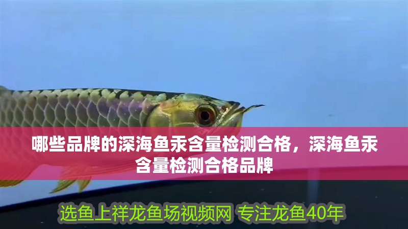 哪些品牌的深海魚汞含量檢測合格，深海魚汞含量檢測合格品牌 哪些品牌的深海魚汞含量檢測合格，深海魚汞含量檢測合格品牌 龍魚百科