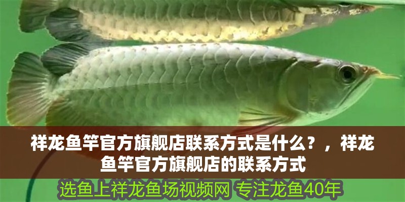 祥龍魚竿官方旗艦店聯系方式是什么？，祥龍魚竿官方旗艦店的聯系方式 祥龍魚竿官方旗艦店聯系方式是什么？，祥龍魚竿官方旗艦店的聯系方式 龍魚百科