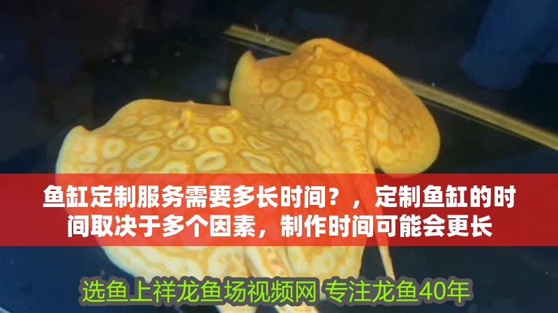 魚缸定制服務需要多長時間？，定制魚缸的時間取決于多個因素，制作時間可能會更長