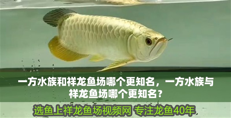 一方水族和祥龍魚場哪個更知名，一方水族與祥龍魚場哪個更知名？