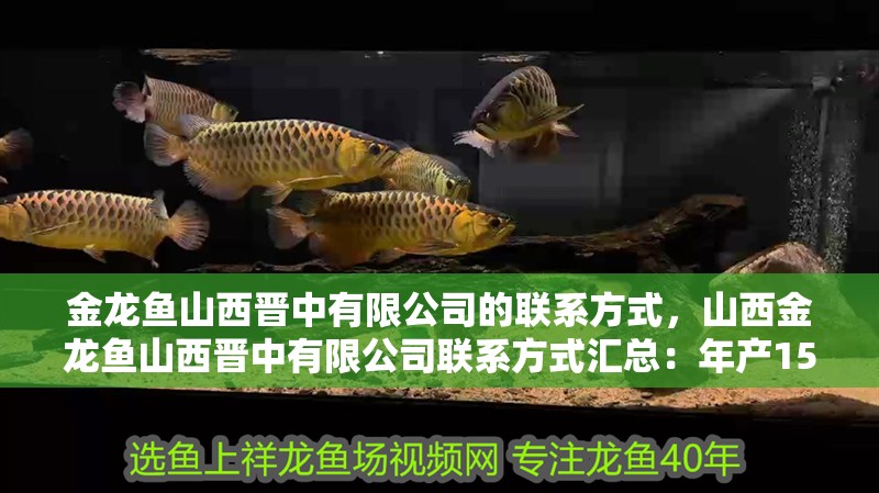 金龍魚(yú)山西晉中有限公司的聯(lián)系方式，山西金龍魚(yú)山西晉中有限公司聯(lián)系方式匯總：年產(chǎn)15萬(wàn)噸陳香老醋項(xiàng)目 金龍魚(yú)山西晉中有限公司的聯(lián)系方式，山西金龍魚(yú)山西晉中有限公司聯(lián)系方式匯總：年產(chǎn)15萬(wàn)噸陳香老醋項(xiàng)目 龍魚(yú)百科