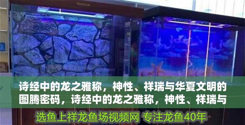 詩經(jīng)中的龍之雅稱，神性、祥瑞與華夏文明的圖騰密碼，詩經(jīng)中的龍之雅稱，神性、祥瑞與華夏文明的圖騰密碼