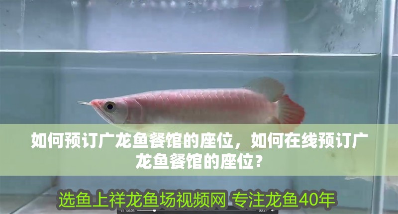 如何預訂廣龍魚餐館的座位，如何在線預訂廣龍魚餐館的座位？