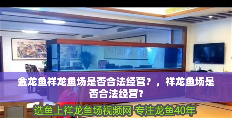金龍魚祥龍魚場是否合法經營？，祥龍魚場是否合法經營？