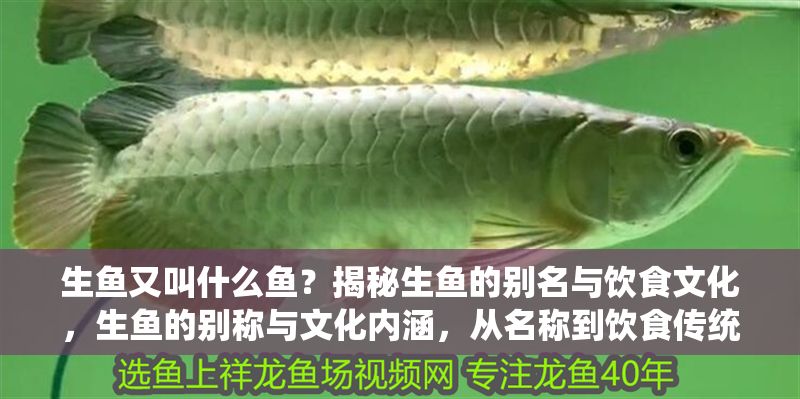 生魚又叫什么魚？揭秘生魚的別名與飲食文化，生魚的別稱與文化內涵，從名稱到飲食傳統