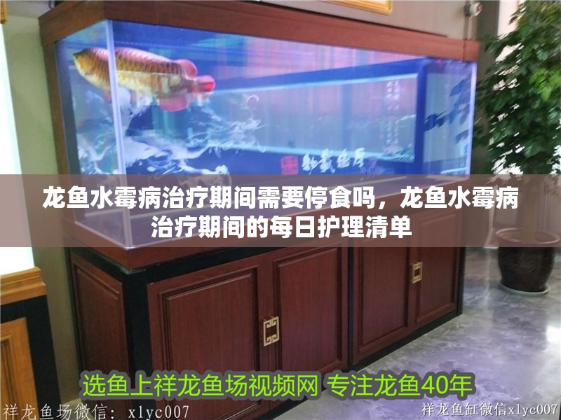 龍魚水霉病治療期間需要停食嗎，龍魚水霉病治療期間的每日護(hù)理清單