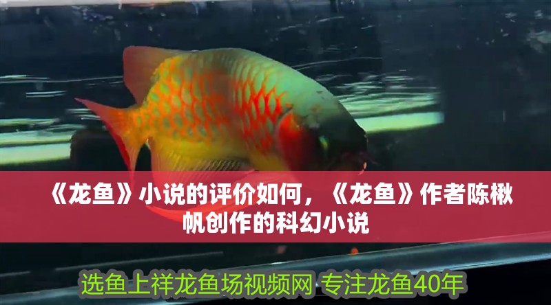 《龍魚》小說的評價如何，《龍魚》作者陳楸帆創(chuàng)作的科幻小說 《龍魚》小說的評價如何，《龍魚》作者陳楸帆創(chuàng)作的科幻小說 龍魚百科