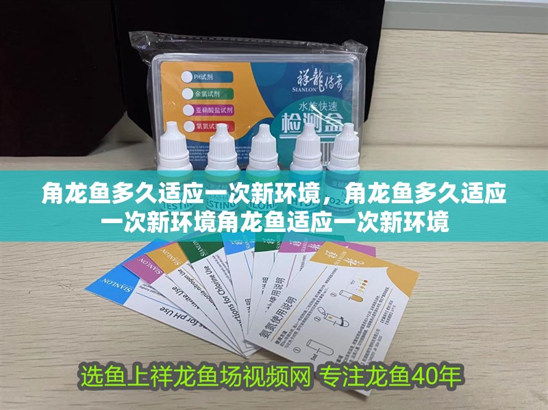 角龍魚多久適應一次新環(huán)境，角龍魚多久適應一次新環(huán)境角龍魚適應一次新環(huán)境