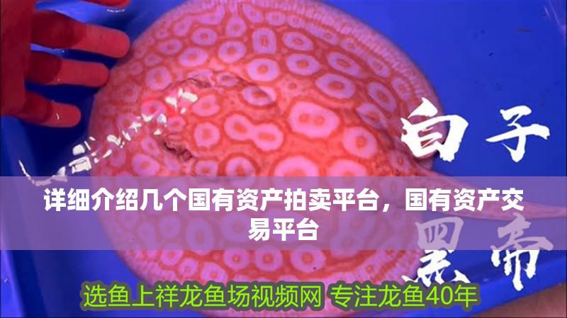 詳細介紹幾個國有資產(chǎn)拍賣平臺，國有資產(chǎn)交易平臺