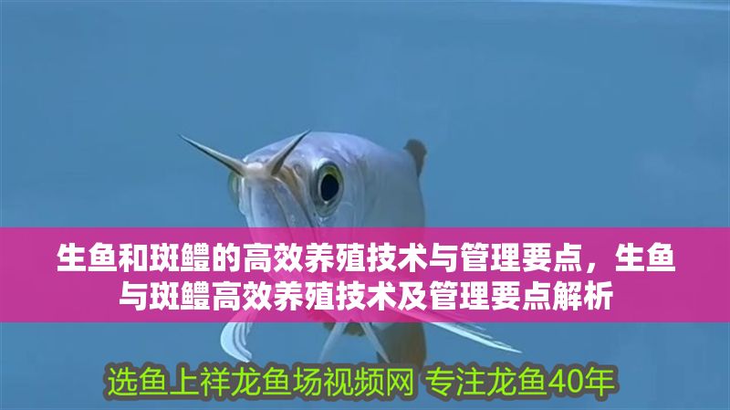 生魚和斑鱧的高效養殖技術與管理要點，生魚與斑鱧高效養殖技術及管理要點解析
