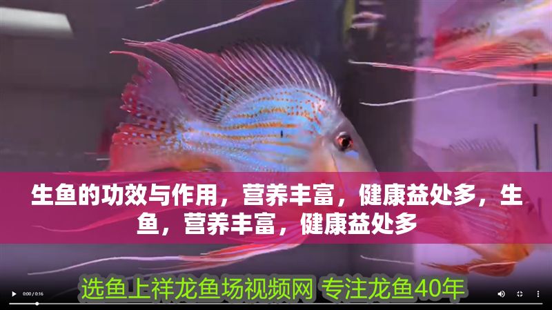 生魚的功效與作用，營養豐富，健康益處多，生魚，營養豐富，健康益處多