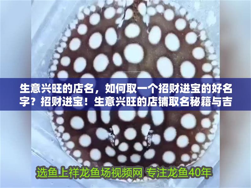 生意興旺的店名，如何取一個招財進寶的好名字？招財進寶！生意興旺的店鋪取名秘籍與吉祥店名推薦