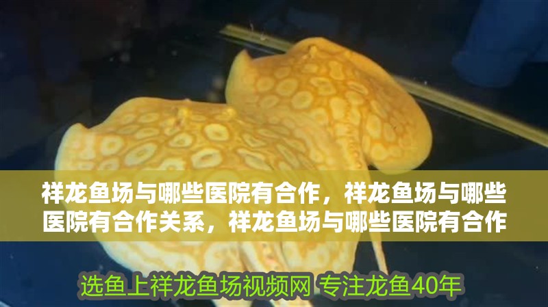 祥龍魚場與哪些醫(yī)院有合作，祥龍魚場與哪些醫(yī)院有合作關系，祥龍魚場與哪些醫(yī)院有合作