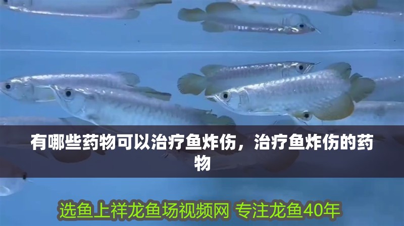 有哪些藥物可以治療魚炸傷，治療魚炸傷的藥物 有哪些藥物可以治療魚炸傷，治療魚炸傷的藥物 龍魚百科