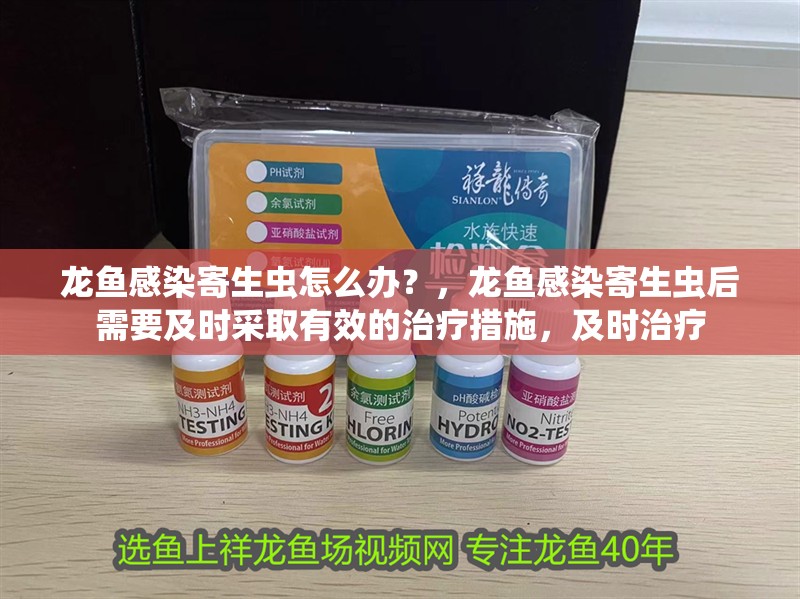 龍魚感染寄生蟲怎么辦？，龍魚感染寄生蟲后需要及時采取有效的治療措施，及時治療