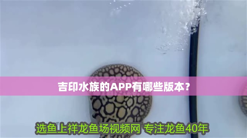 吉印水族的APP有哪些版本？