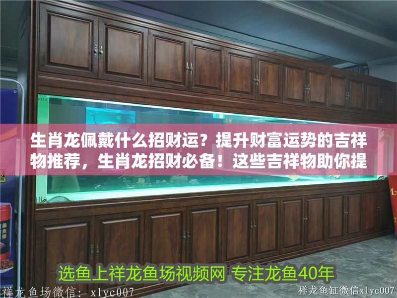 生肖龍佩戴什么招財運？提升財富運勢的吉祥物推薦，生肖龍招財必備！這些吉祥物助你提升財富運勢