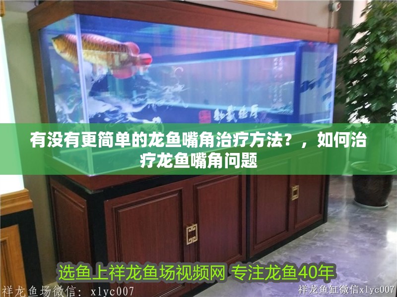有沒有更簡單的龍魚嘴角治療方法？，如何治療龍魚嘴角問題