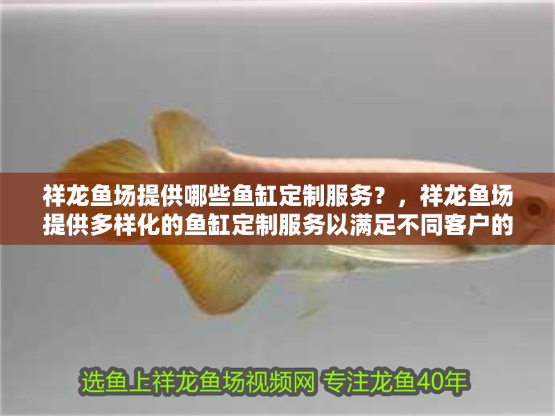 祥龍魚場提供哪些魚缸定制服務(wù)？，祥龍魚場提供多樣化的魚缸定制服務(wù)以滿足不同客戶的需求