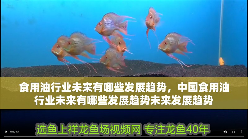食用油行業未來有哪些發展趨勢，中國食用油行業未來有哪些發展趨勢未來發展趨勢