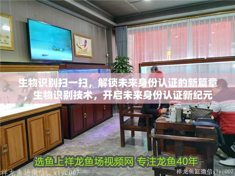 生物識別掃一掃，解鎖未來身份認證的新篇章，生物識別技術，開啟未來身份認證新紀元