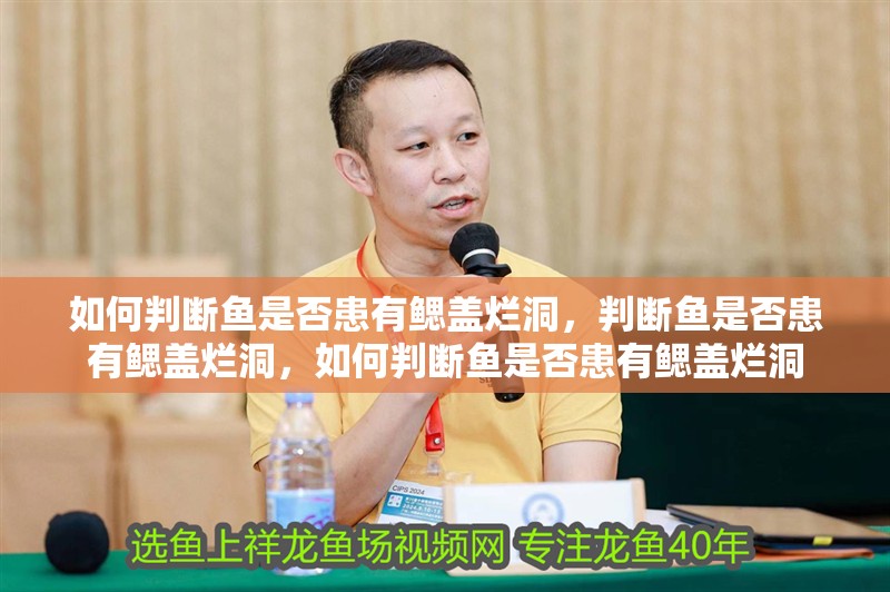 如何判斷魚是否患有鰓蓋爛洞，判斷魚是否患有鰓蓋爛洞，如何判斷魚是否患有鰓蓋爛洞 如何判斷魚是否患有鰓蓋爛洞，判斷魚是否患有鰓蓋爛洞，如何判斷魚是否患有鰓蓋爛洞 龍魚百科