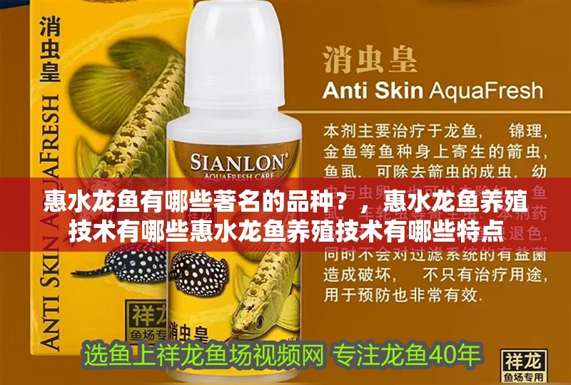 惠水龍魚有哪些著名的品種？，惠水龍魚養殖技術有哪些惠水龍魚養殖技術有哪些特點