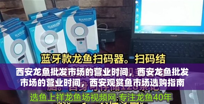 <strong><mark>西安</mark></strong>龍魚批發市場的營業時間，<strong><mark>西安</mark></strong>龍魚批發市場的營業時間，<strong><mark>西安</mark></strong>觀賞魚市場選購指南