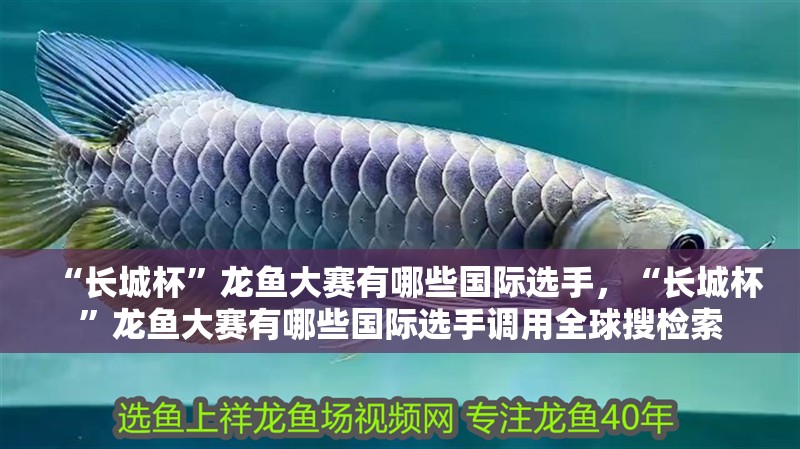 “長城杯”龍魚大賽有哪些國際選手，“長城杯”龍魚大賽有哪些國際選手調(diào)用全球搜檢索
