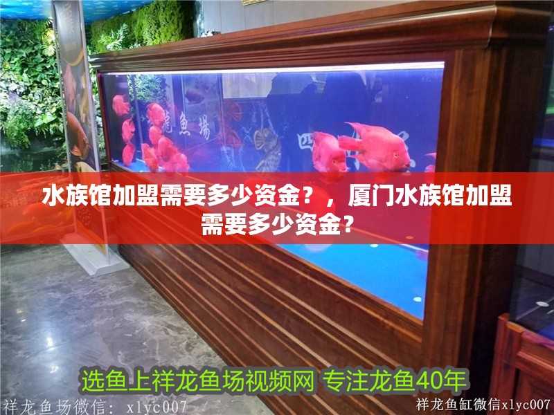 水族館加盟需要多少資金？，廈門水族館加盟需要多少資金？
