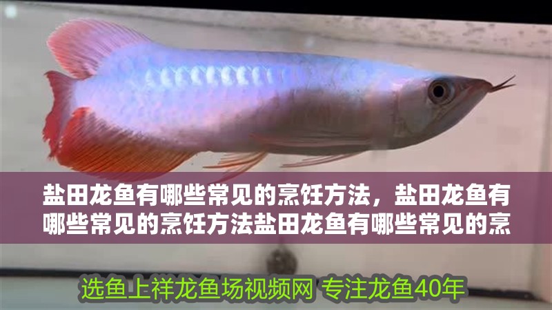鹽田龍魚有哪些常見的烹飪方法，鹽田龍魚有哪些常見的烹飪方法鹽田龍魚有哪些常見的烹飪方法