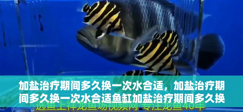 加鹽治療期間多久換一次水合適，加鹽治療期間多久換一次水合適魚(yú)缸加鹽治療期間多久換一次水合適