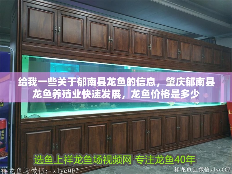 給我一些關于郁南縣龍魚的信息，肇慶郁南縣龍魚養殖業快速發展，龍魚價格是多少