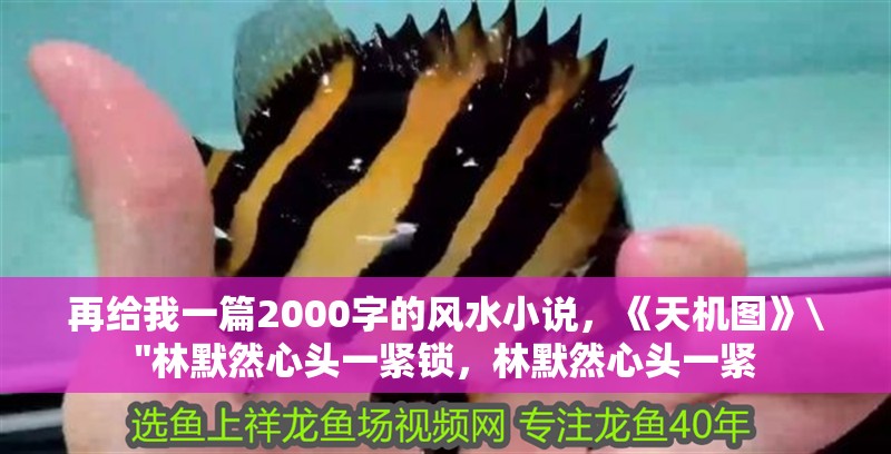 再給我一篇2000字的風水小說，《天機圖》\