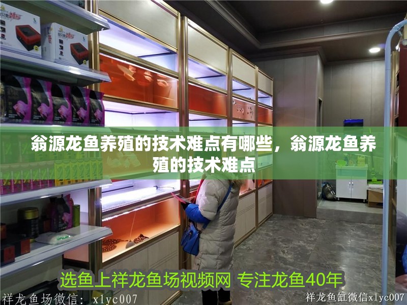 翁源龍魚養(yǎng)殖的技術(shù)難點有哪些，翁源龍魚養(yǎng)殖的技術(shù)難點
