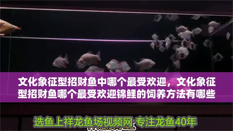 文化象征型招財(cái)魚中哪個(gè)最受歡迎，文化象征型招財(cái)魚哪個(gè)最受歡迎錦鯉的飼養(yǎng)方法有哪些