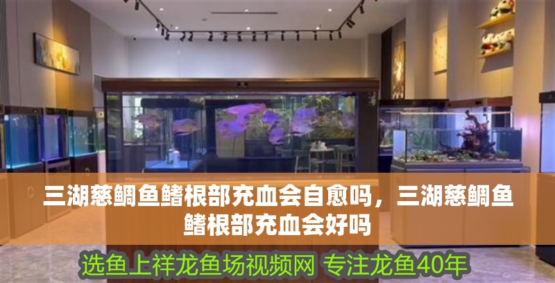 三湖慈鯛魚鰭根部充血會自愈嗎，三湖慈鯛魚鰭根部充血會好嗎