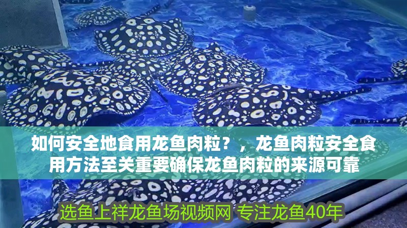 如何安全地食用龍魚肉粒？，龍魚肉粒安全食用方法至關重要確保龍魚肉粒的來源可靠