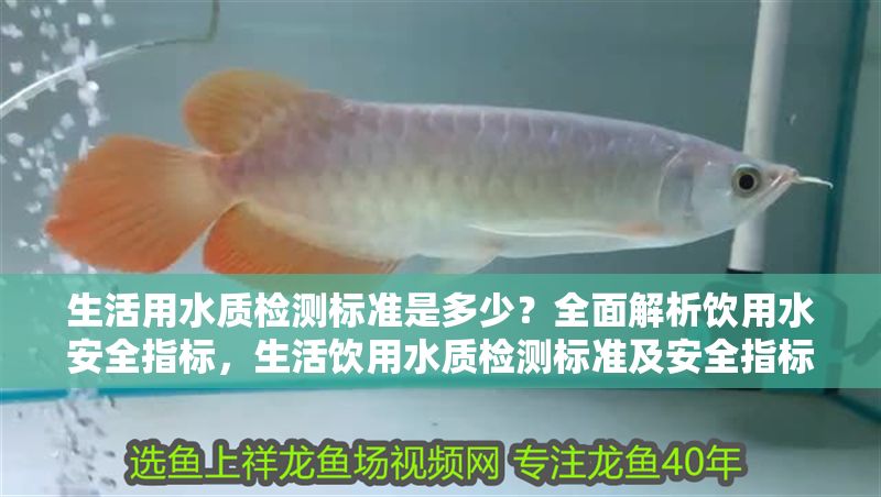 生活用水質(zhì)檢測標(biāo)準(zhǔn)是多少？全面解析飲用水安全指標(biāo)，生活飲用水質(zhì)檢測標(biāo)準(zhǔn)及安全指標(biāo)全面解析